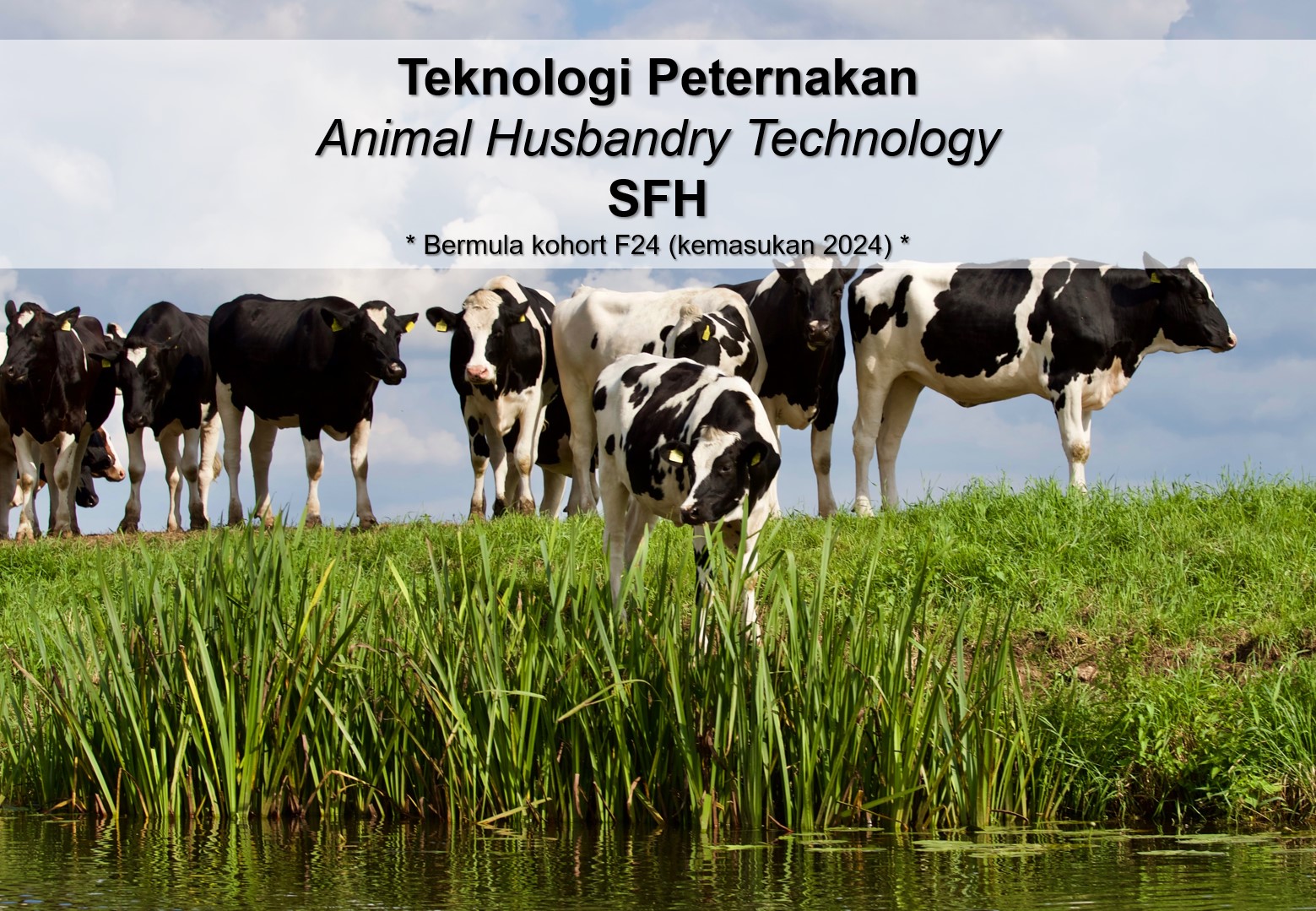 Bachelor of Applied Science (Animal Husbandry Technology) with Honors (SFH)